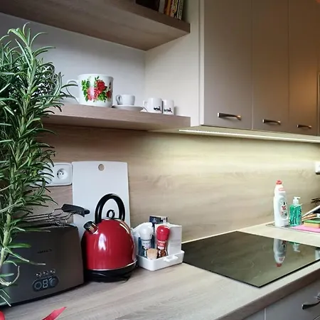 بيت ضيافة Pensiony A V Kempu Indiana *