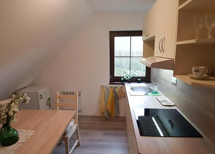 Πανσιόν Pensiony A V Kempu Indiana *